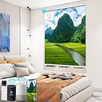 Vista 13 de TIPIACE Persianas de impresión motorizada recargables con control remoto, persiana enrollable de tela opaca completa compatible con Alexa Google