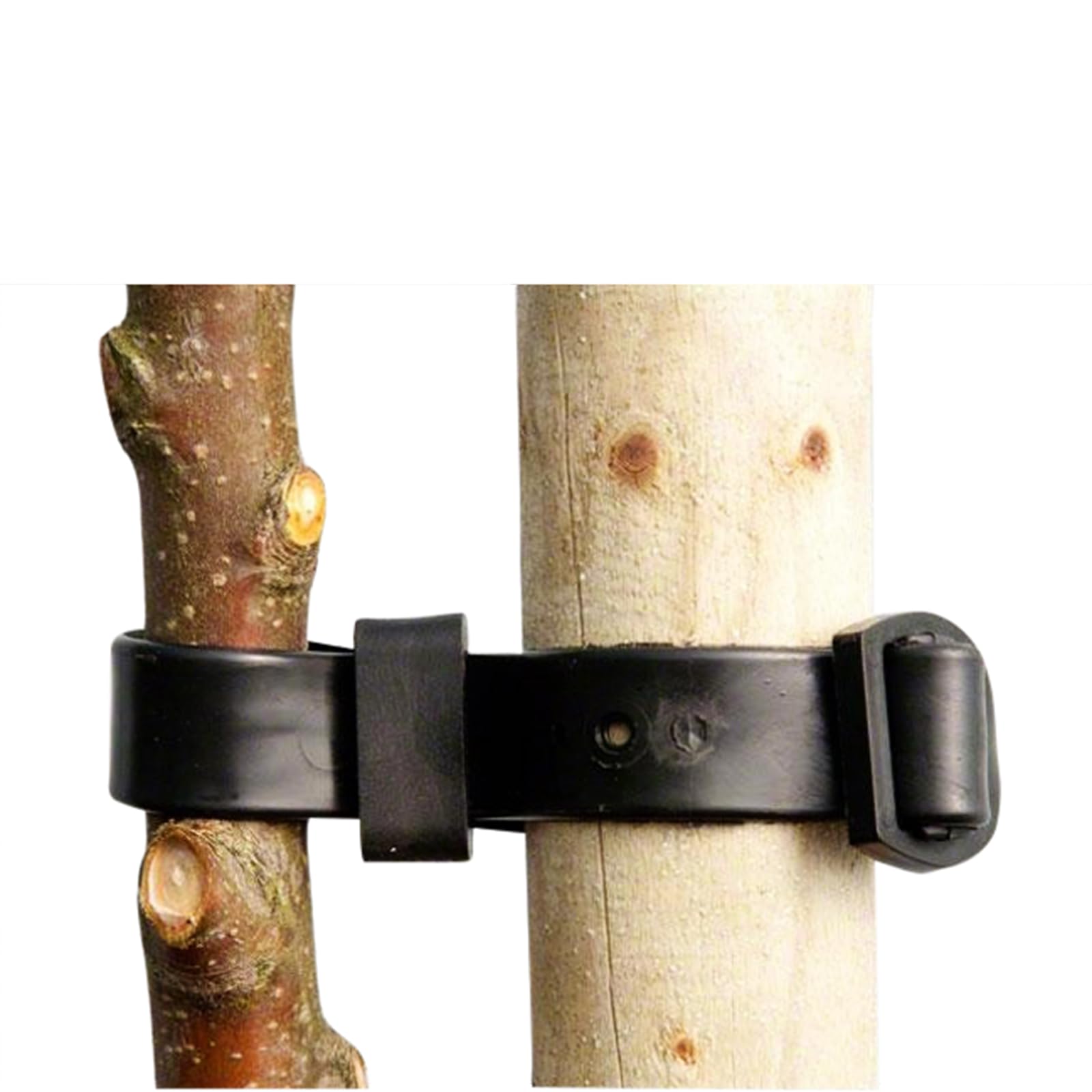 Oakland Gardens 60cm Rubber Tree Ties Buckle Strap Plant Support Whip Bare Root Straps 60cm 24" Pack of 1