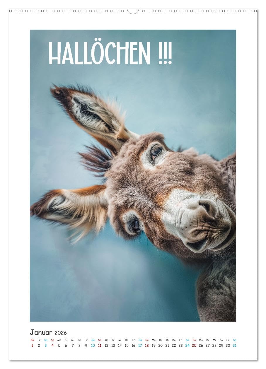Lach Dich fit ! (hochwertiger Premium Wandkalender 2026 DIN A2 hoch), Kunstdruck in Hochglanz: Egal, ob Sie einen stressigen Tag im Büro haben oder ... ohne ein Lächeln vergeht. (CALVENDO Spass)