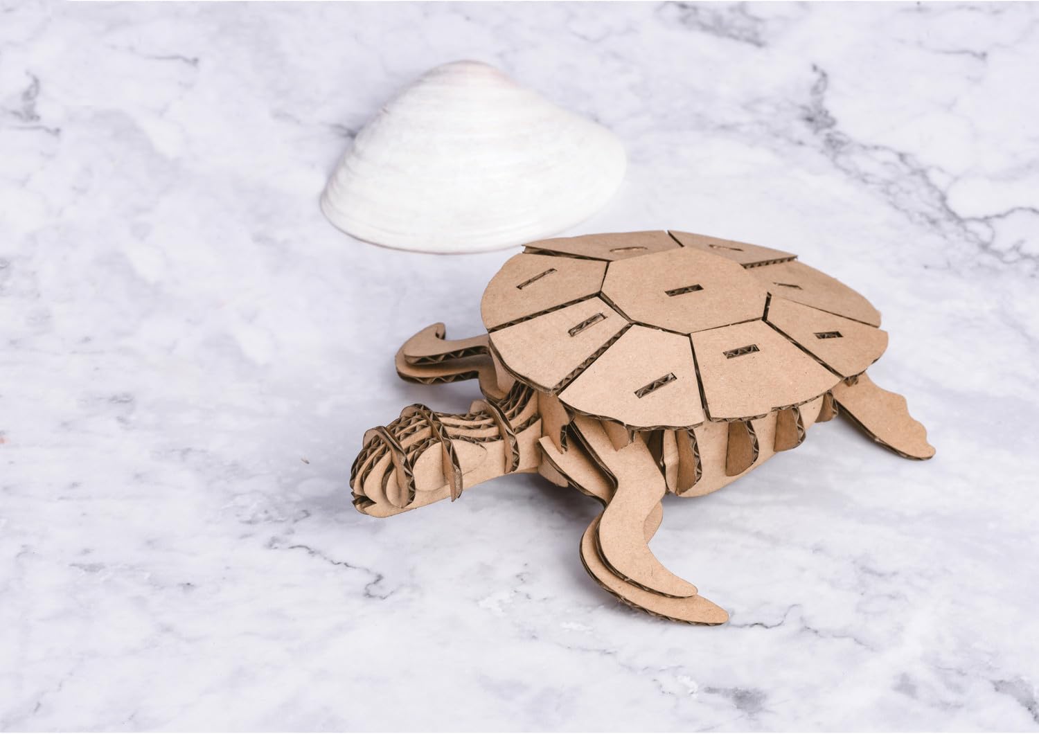 3D-Kartonmodell Schildkröte – Bastelspaß Zum Zusammenstecken Ohne Kleber Für Kinder & Familien