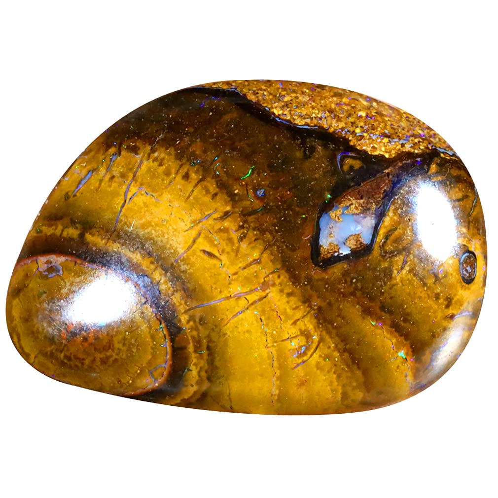Pierre précieuse opale boulder d'Australie naturelle 25x18mm multicolore de 20.47 ct