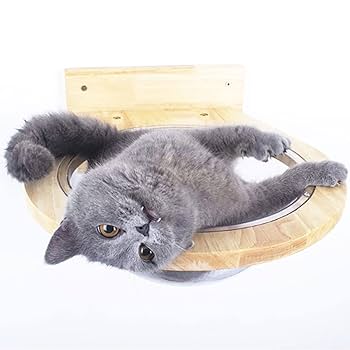 Amazon | YOYONYAN 猫 木製壁掛け ハンモック 石膏ボード