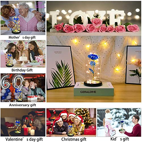 Jeekgsk Presentes de rosas para mulheres, presentes de flores para ela, duram para sempre em uma cúp