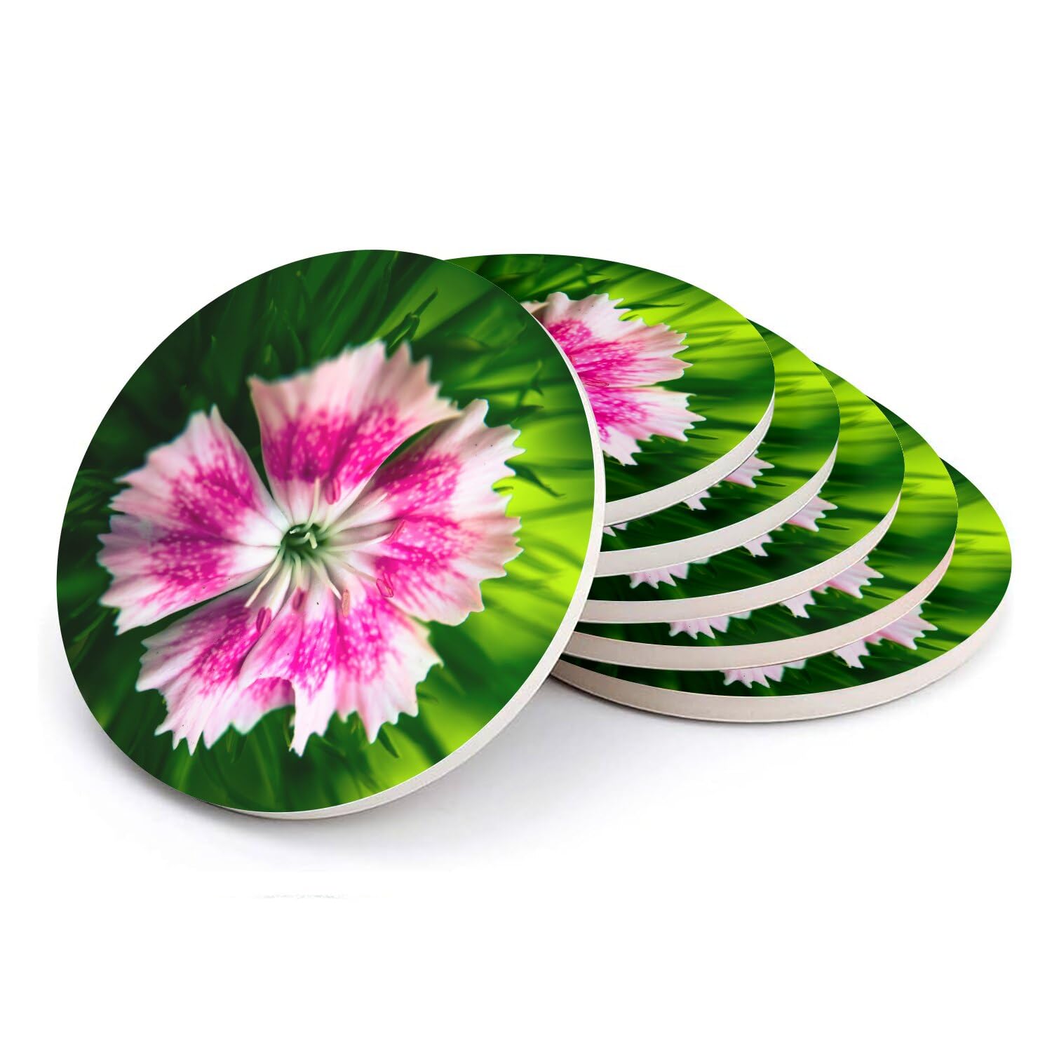 Sous-verre ronds en céramique fleur de Dianthus pour sublimer vos apéritifs
