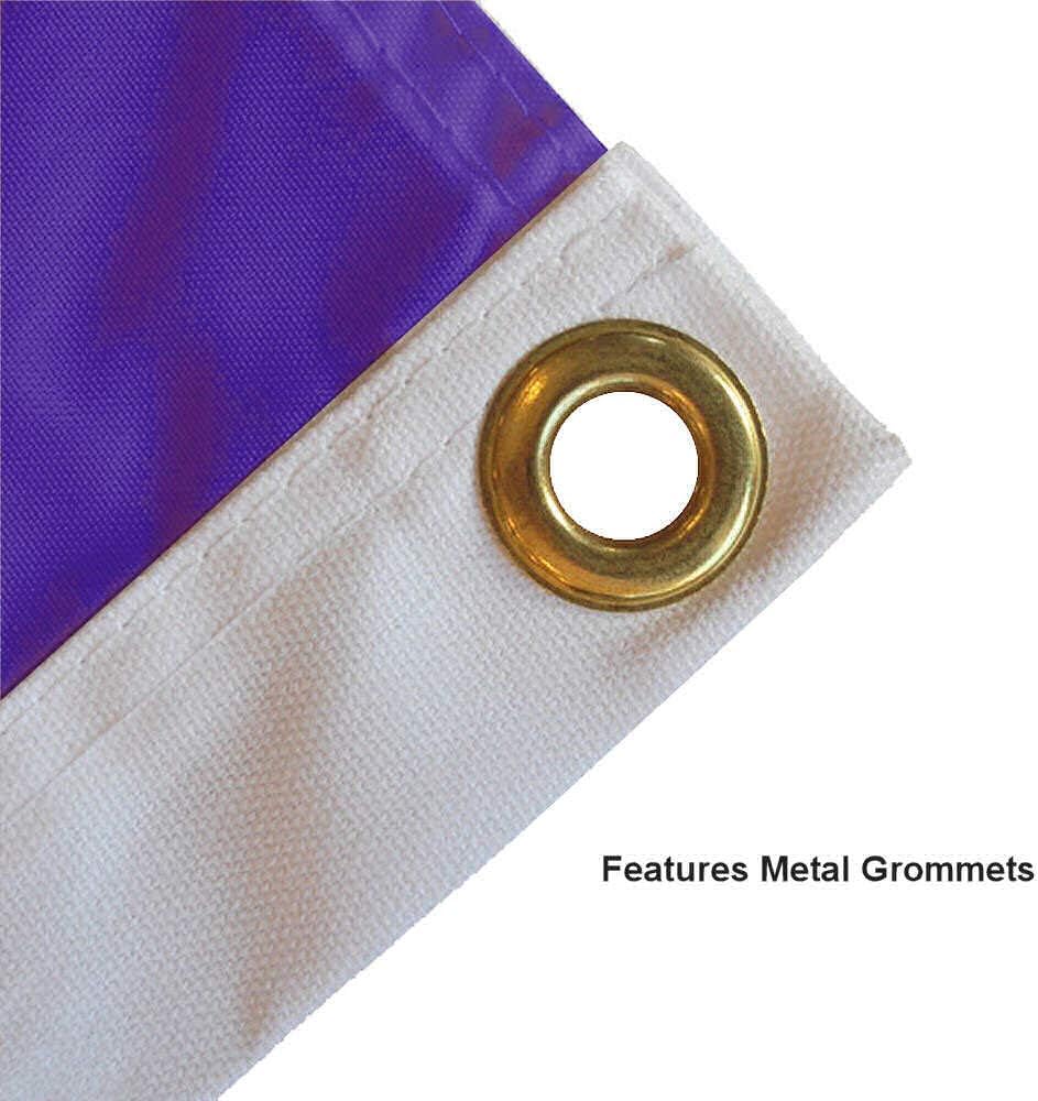 Ashland Eagles Flag with Pole and Bracket Mount Kit