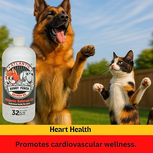 Miniatura 4 de Aceite de salmón de 32 onzas para perros y gatos, aceite de salmón atlántico 100% puro, aceite de pescado suplementario para abrigos saludables de