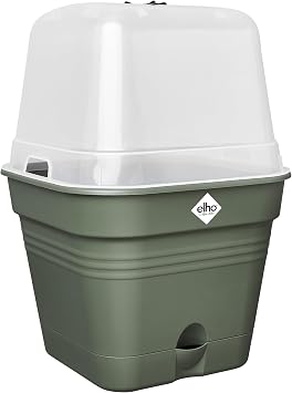 elho Green Basics Growpot Square Allin1 15cm Grow Pot - Leaf Green