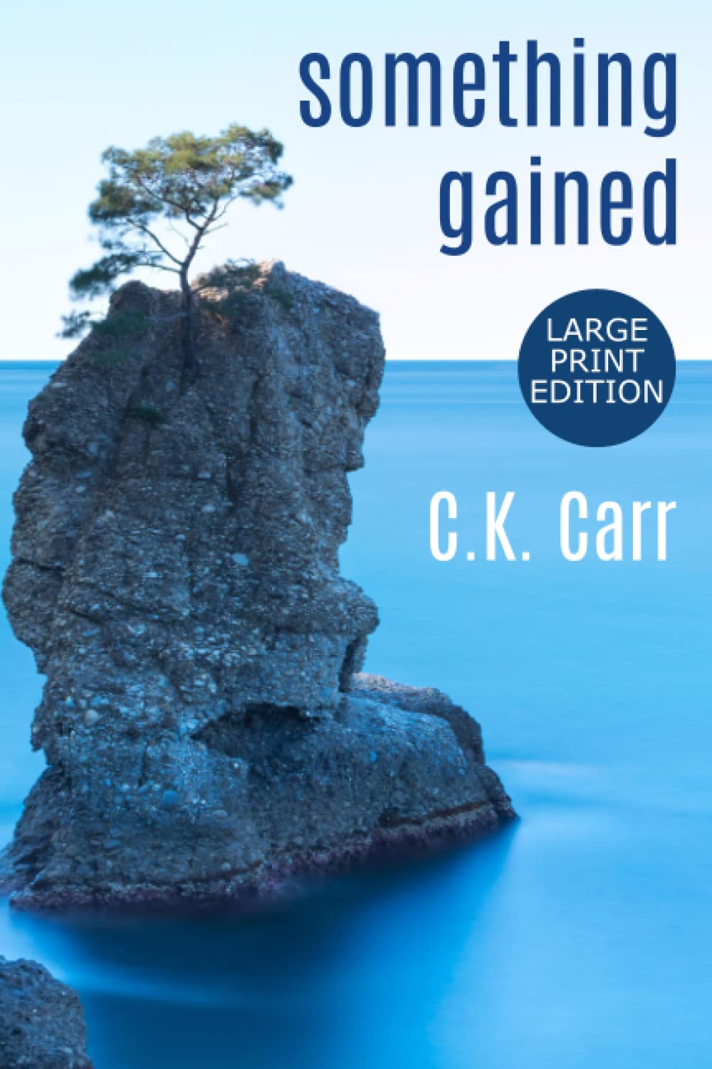 Something Gained: Large Print Edition (Something Worth Having)