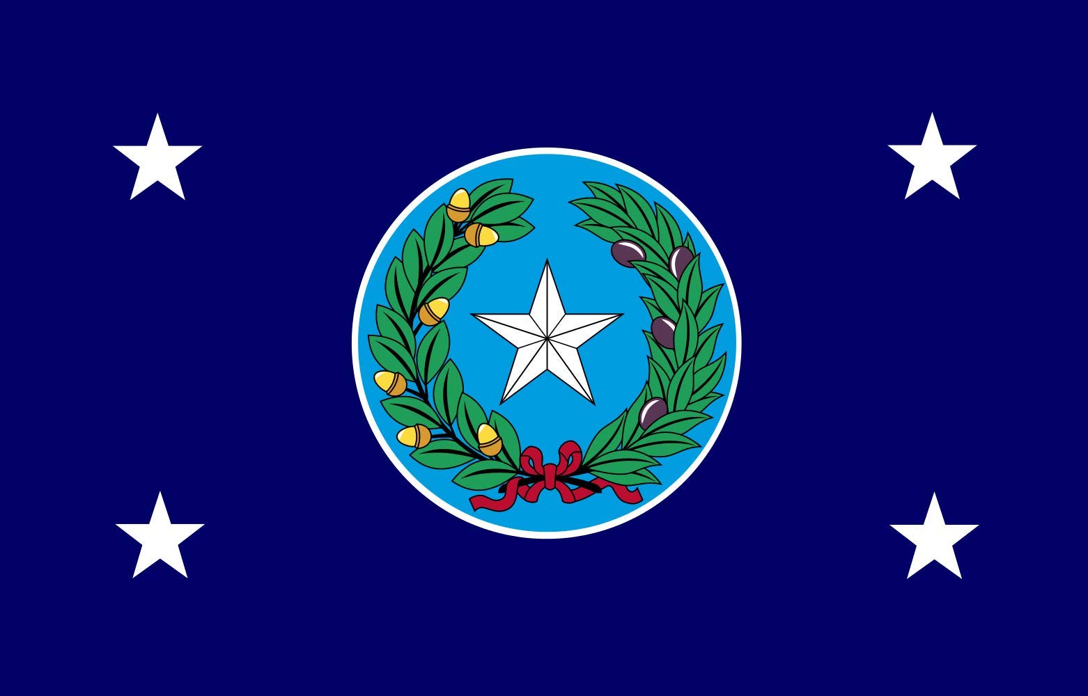 Drapeau Governor of Texas grand pavillon américain officiel