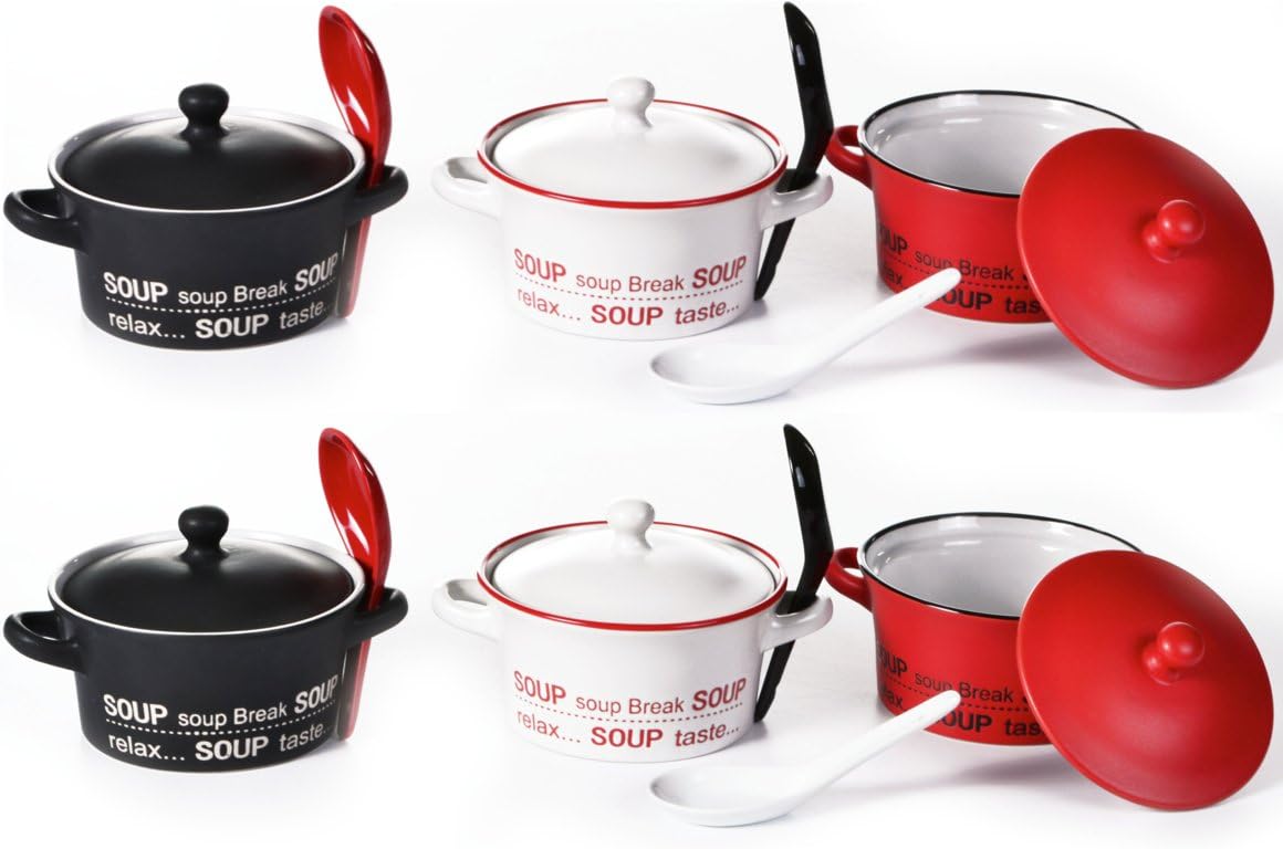 Soup Bowls with Lids and Spoons Set of 6 Stoneware Soup