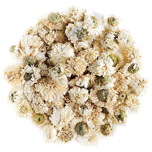 Camomille Romaine Fleurs Thé - Anthemis Nobilis - Fleurs De Camomille Camomille