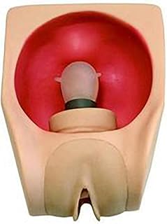 Iud Training Model, Female Gynecology Training Model with Vaginal Expandable and Condom Wear Design, Simulate Correct Contraceptive Operation, for Family Planning Medicine Teaching