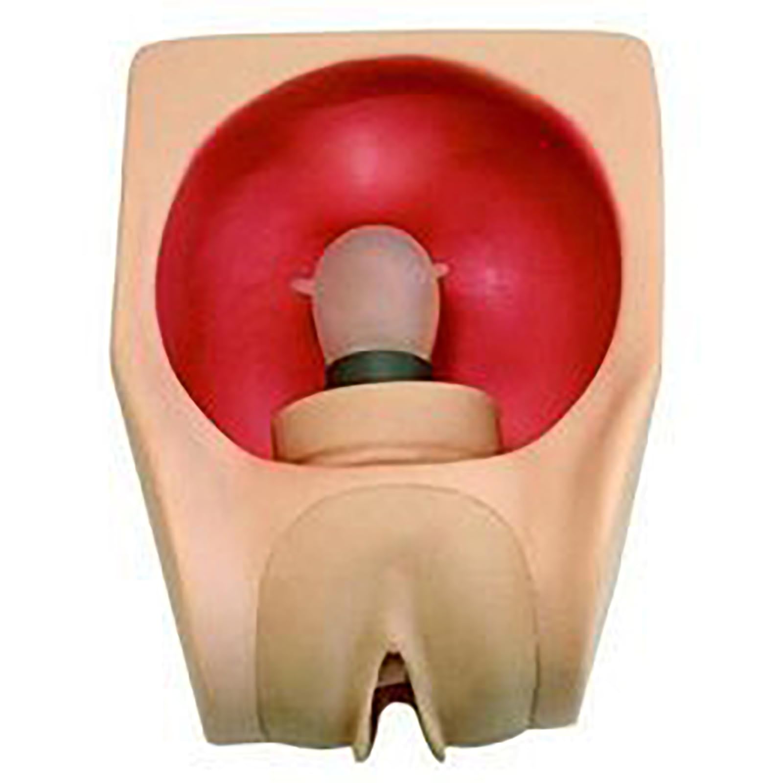 LBMED Iud Training Model, Female Gynecology Training Model with Vaginal Expandable and Condom Wear Design, Simulate Correct Contraceptive Operation, for Family Planning Medicine Teaching