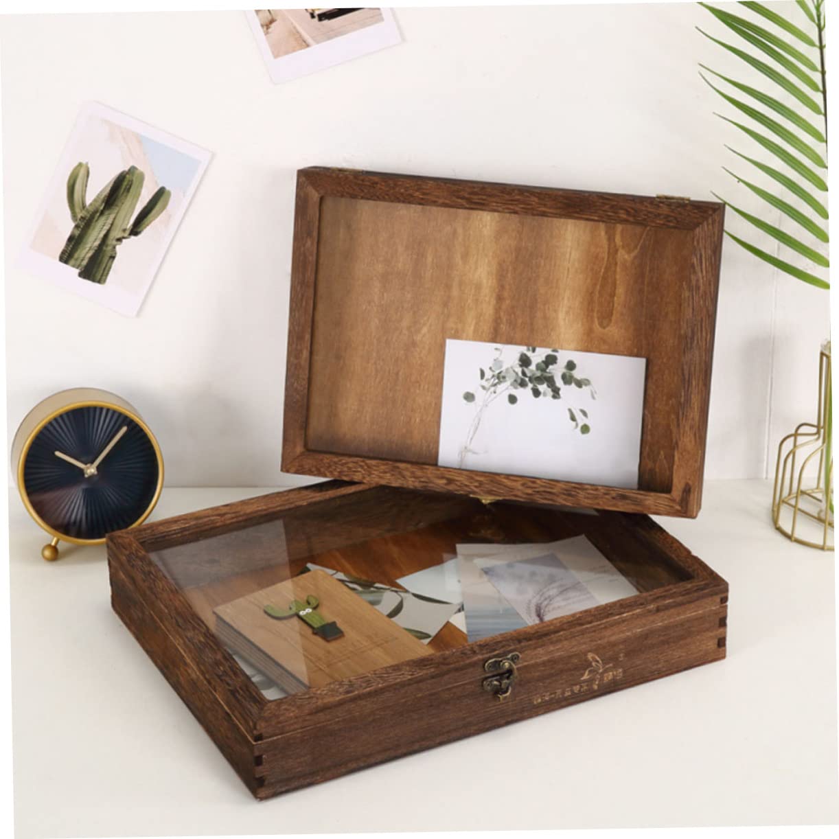 Vitrine pour Spécimens en Bois et Acrylique, Boîte de Présentation Rétro à Grosse Capacité, Cadre Boîte à Ombre Transparent et Anti-humidité pour Collection Style Aléatoire