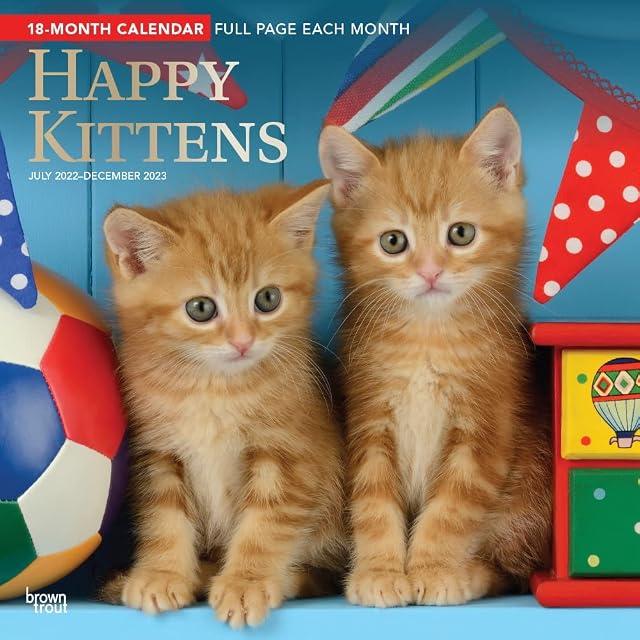 Happy Kittens | 2023 12 x 24 Inch 18 Months Monthly Square Wall Calendar | Foil Stamped Cover | July 2022 - December 2023 | BrownTrout | Animals Cats Feline