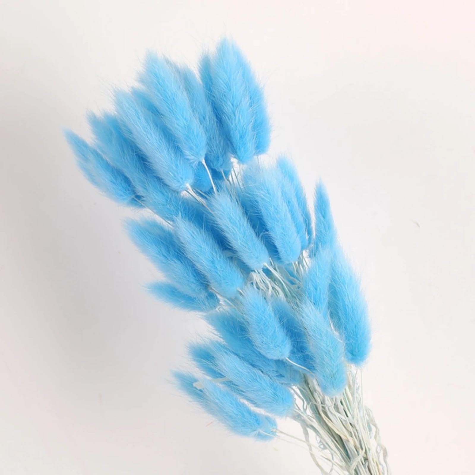 Fleurs Séchées Queues De Lapin Naturelles - Lot De 50 Tiges, 45 Cm, Bleu, Décoration Bohème