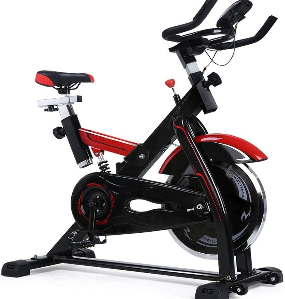 Exercise Bikes Mute Sports Bike Fitness Equipment Home Pedal Training Bicycle Indoor Exercise Bike Load-bearing 200KG for Cardio Training (Indoor Spor