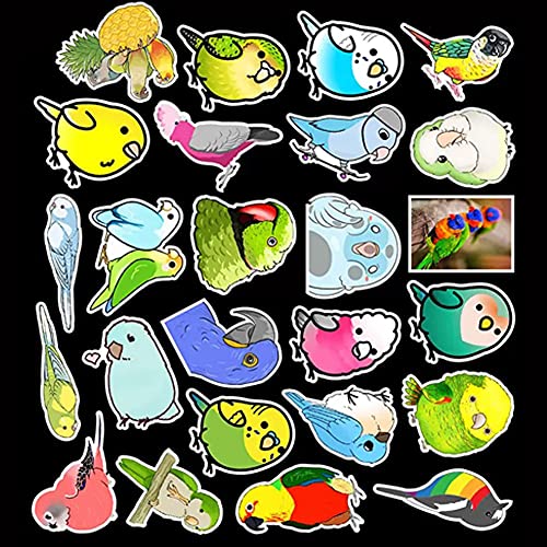 Colourful Bird Stickers |50 Pcs Bird Waterproof Vinyl Decals for Water Bottles Laptop Luggage Cup Mobile Phone Computer Skateboard Refrigerator Wardrobe Guitar Car Motorcycle Bike Décor