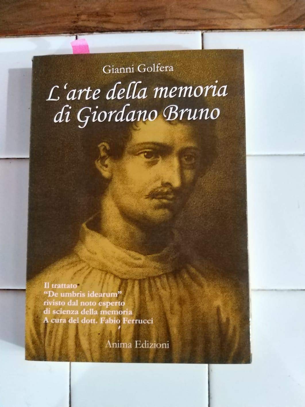 L'arte della memoria di Giordano Bruno. Il trattato «De umbris idearum» rivisto dal noto esperto di scienza della memoria