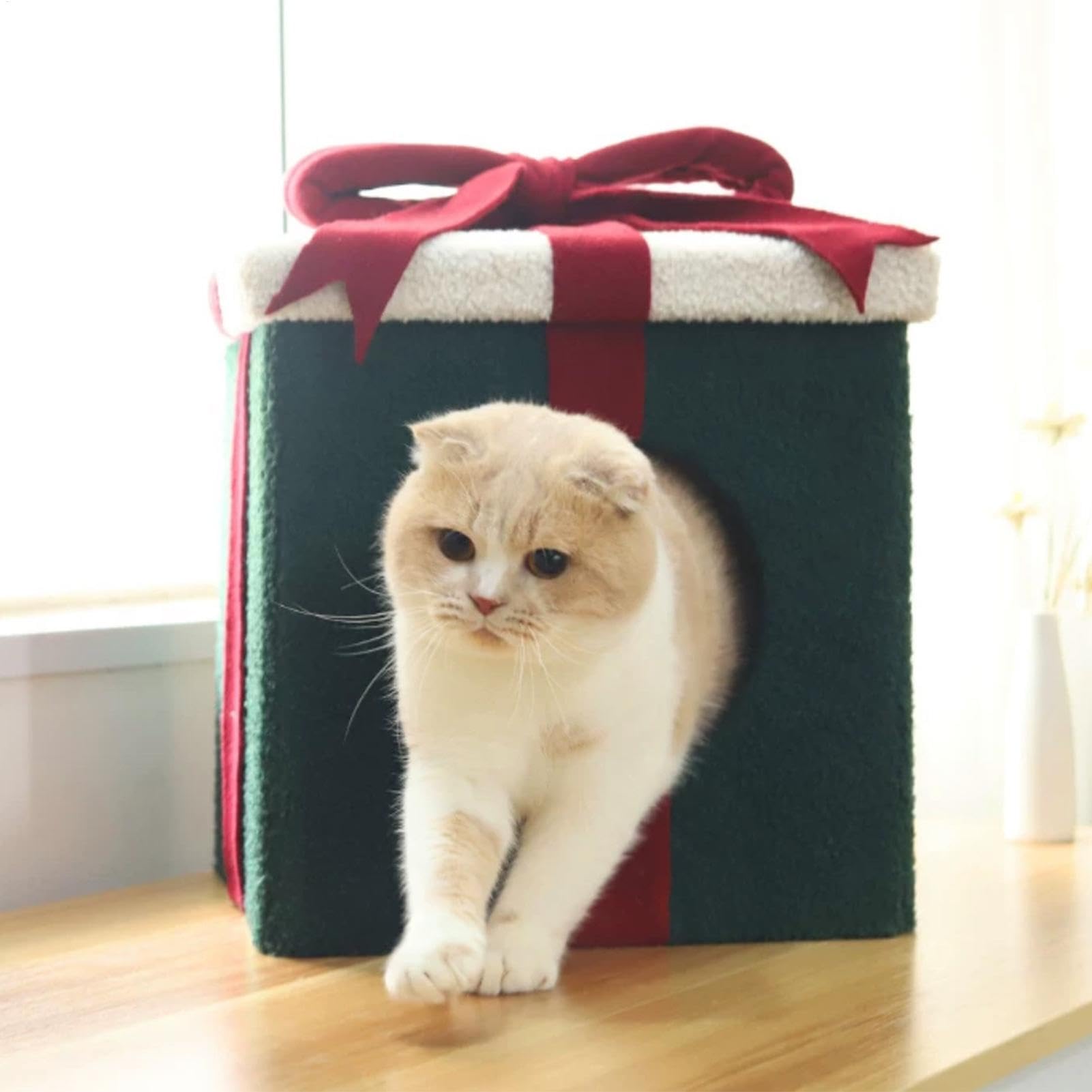 per gatti, case per gatti Casa per gatti chiusa | Confortevole cuccia pieghevole per gatti da interni, cuccia chiusa per gatti e cani a forma di scatola per il relax