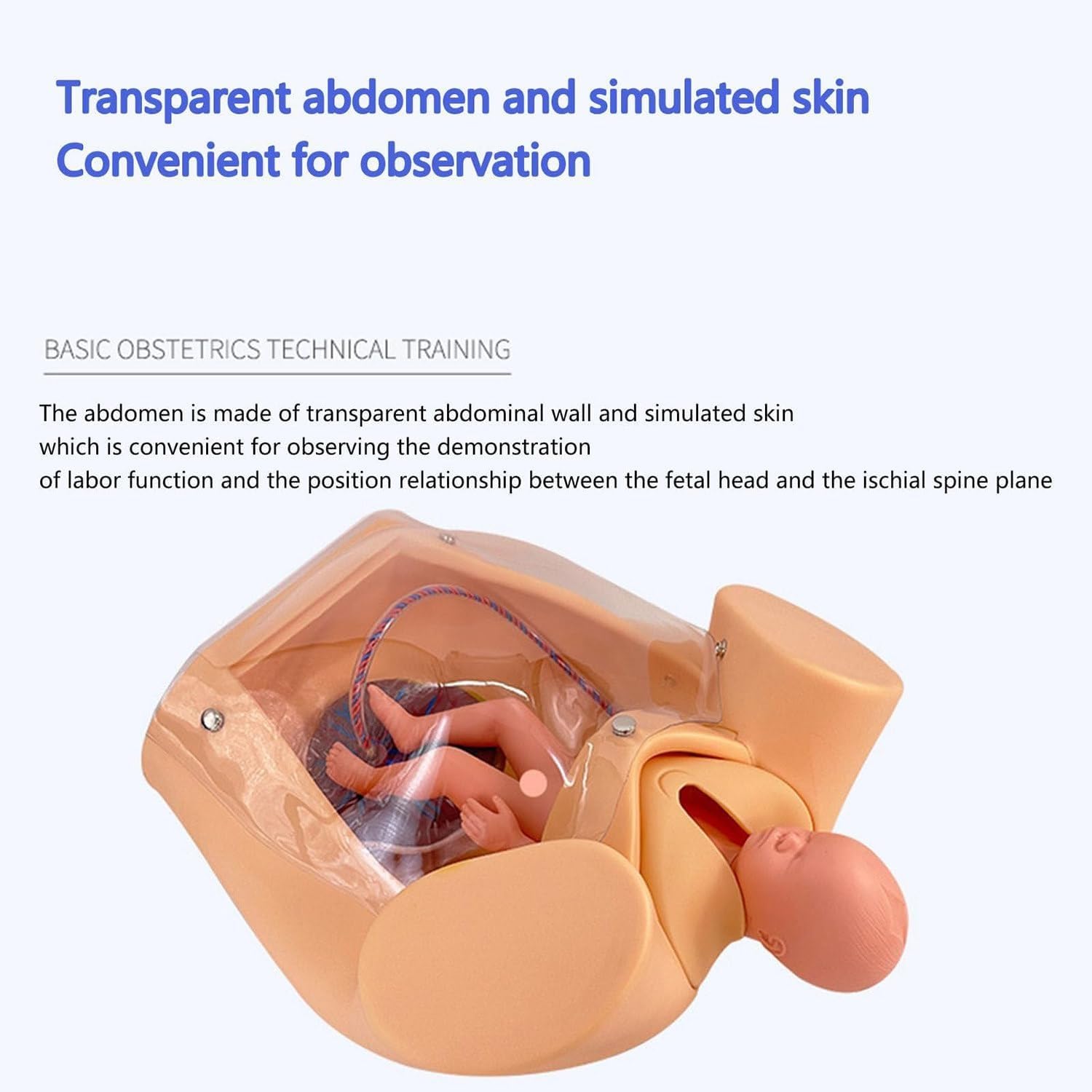 Simulador de parto - Modelo avanzado de entrenamiento de partería para educación médica, herramienta de práctica de parto gemelos de tamaño real para ginecología y enseñanza de maternidad
