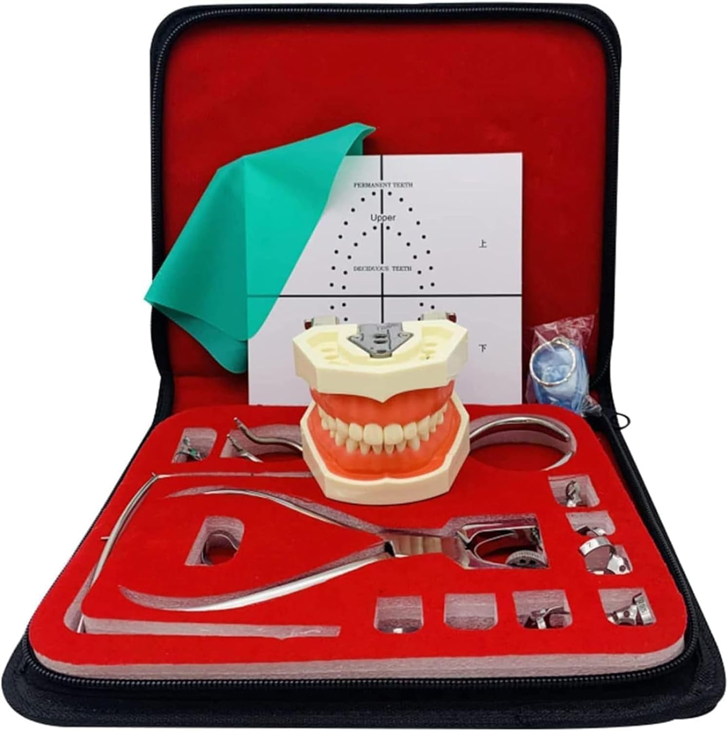 Dental Endodontyczna gumowa tama zestaw, zestaw stomatologiczny zestaw gumy, gumowa tama dziurkacz deska zestaw narzędzi do ćwiczeń z ramką do dziurkowania przyrządy