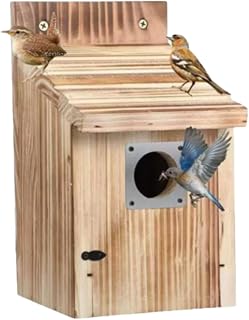 鳥の巣 鳥の巣箱 小鳥巣箱 バードハウス 木製 巣箱 鳥小屋 屋外 観察 DIY 休憩場所 前扉タイプ 取り付け型 野鳥 小屋