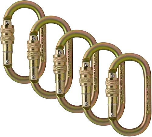 Fusion Climb OVATTI Mosquetón de bloqueo de tornillo, acero resistente, puerta de bloqueo, nariz de pasador, forma ovalada, resistencia industrial y