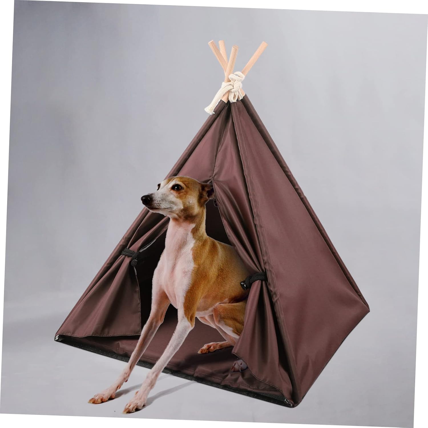 balacoo Decorative Dog Tent Washable Indoor Kitten House Removable Design for Pets Cozy Nest for Dogs and Cats for Home Use
