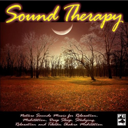 Amazon Rainforest Sound Therapy by Sound Therapy, Spa, Yoga, Healing