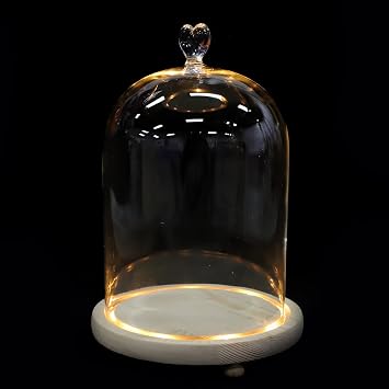 3d Romantic Couple Hand Model Ornament Glowing Glass Dome, 15x21cm Heart-shaped Dustproof Cover and Natural Wood Warm Light Base, Decorative Gift for Home and Valentine