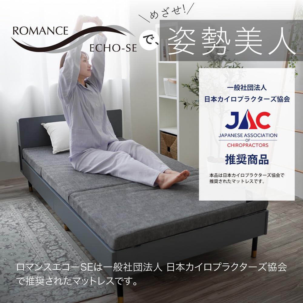 Amazon｜ロマンス小杉 公式 ロマンスエコー SE マットレス 敷き布団