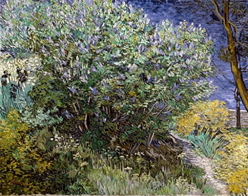 Affiche toile Van Gogh Le Buisson de Lilas 60x90cm pour décoration murale élégante