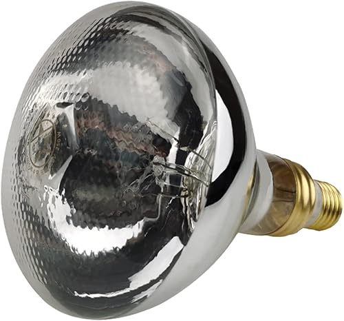 Bombilla de calor P40 de 125 W, paquete de 2 bombillas infrarrojas de vidrio pesado para servicio de alimentos, bombilla de criador, pollitos,