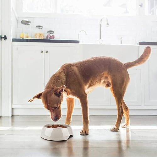 Miniatura 6 de Flexzion Slow Feeder - Cuenco interactivo para perros, antiahogamiento, antideslizante para comer lentamente, divertido comedero para mascotas,