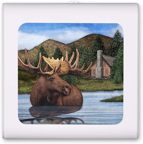 Luz nocturna LED regulable enchufable con sensor automático del atardecer al amanecer, brillo ajustable, luz cálida, luz nocturna de encendido y