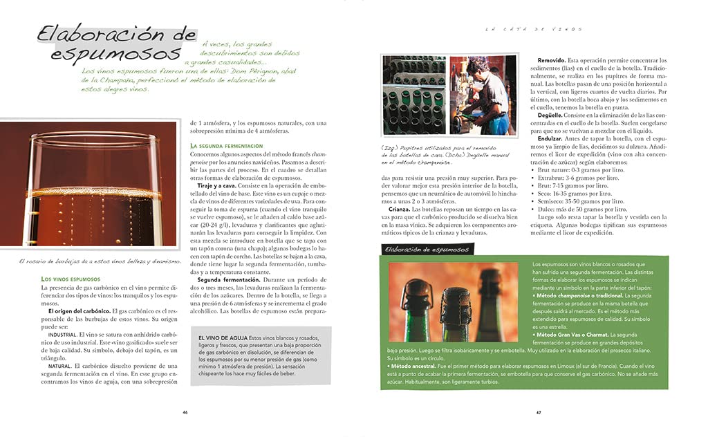 La cata de vinos: Guía completa para conocer y degustar los vinos (Edición actualizada) 2021 / Wine Tasting (Spanish Edition)