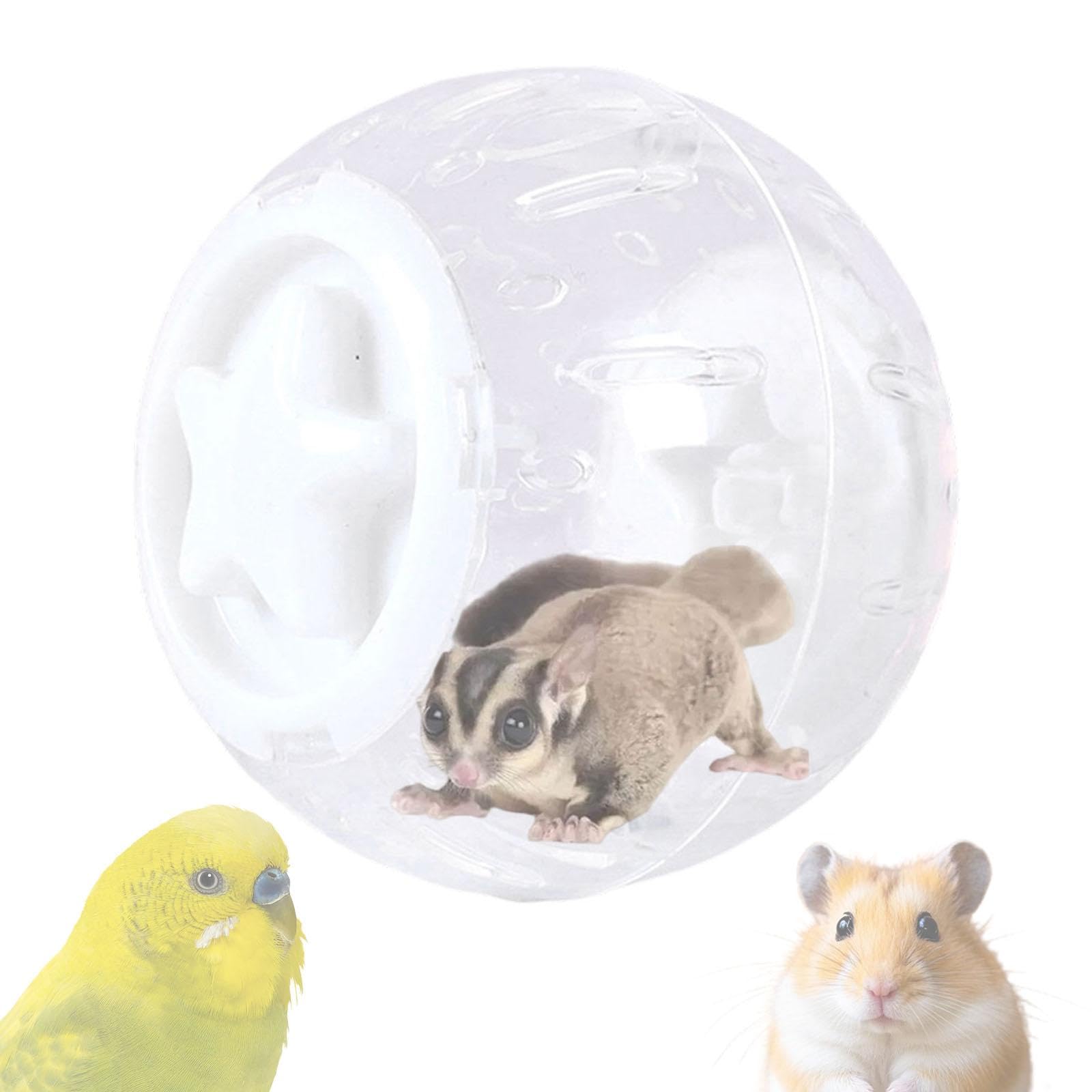 Hamster übungsball mit Belüftetem Laufball Transparentem Bewegungsrad Aktivitätsspielzeug Und Zubehör Aus Beständigem Pp für Zwerghamster Haustierpfle, Weiß