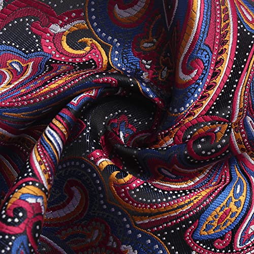 Image of Paisley Floral Mens Tie Formal Necktie Pocket Squares Ties Clips Cufflinks Classic for Men Set