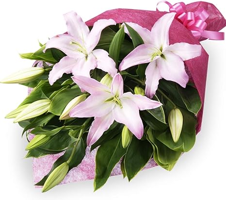 Amazon 6月の誕生花 ユリ ユリの花束 Ya06 花キューピット 花 誕生日 お祝い 記念日 プレゼント 彼氏彼女 夫婦 祖父母 友達 友人 花束 オンライン通販