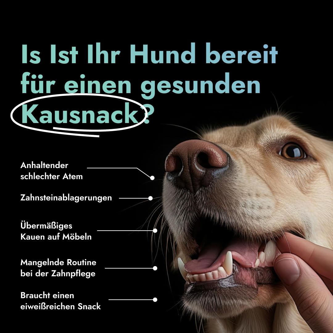 Himalaya-Käseknochen für Hunde, Natürlicher hartkäse Kausnack aus 100% Bio-Milch, Kaukäse, Kauknochen für Welpen und kleine Hunde, Zahnpflege und Langeweilebekämpfung