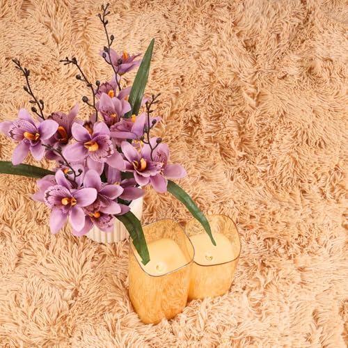 Hafaa Rugs Living Room Bedroom - Super Soft Fluffy Shaggy Small Area Rugs - Anti-Slip, Non-Shedding, Thick Pile (Beige, 50x80 cm) - 8