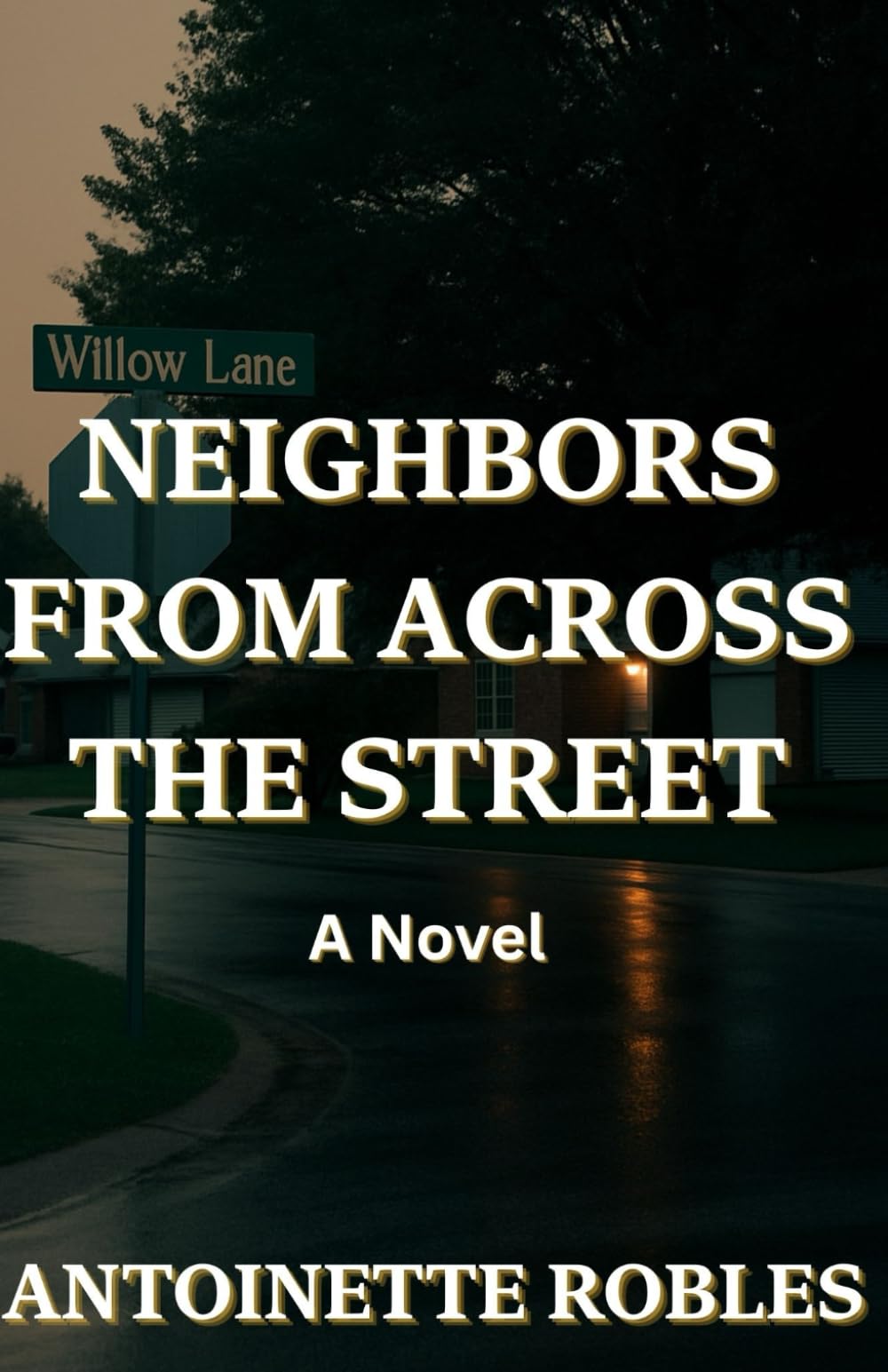 NEIGHBORS FROM ACROSS THE STREET: A Novel (Neighbors Series)