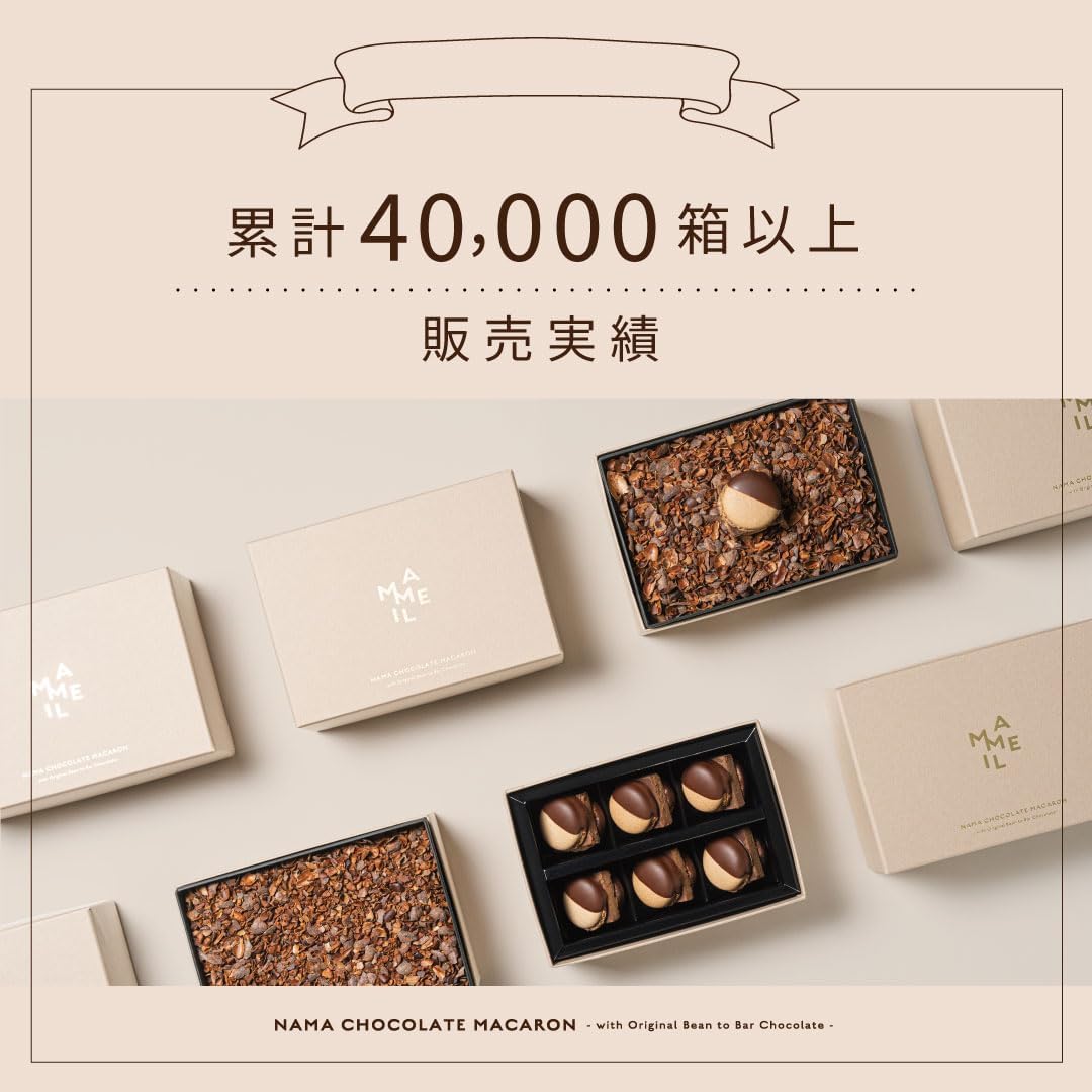 MAMEIL マメイル 生チョコレート マカロン 6個セット お菓子 人気 ギフト プレゼント 北海道 冷凍便 バレンタイン (ギフト仕様なし：生チョコ)