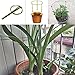 Hanobo 2 Pack Garden Plant Support Rings for Potted Plant, 9.8