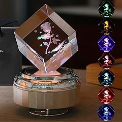 Square, Rose, You Are My Sunshine