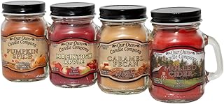 Our Own Candle Company 4 Pack Fall Assortment Mini Mason Jar Candles - 3.5 Oz Caramel Pecan, Mulled Cider, Pumpkin Spice, Macintosh Apple