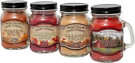 Our Own Candle Company 4 Pack Fall Assortment Mini Mason Jar Candles - 3.5 Oz Caramel Pecan, Mulled Cider, Pumpkin Spice, Macintosh Apple