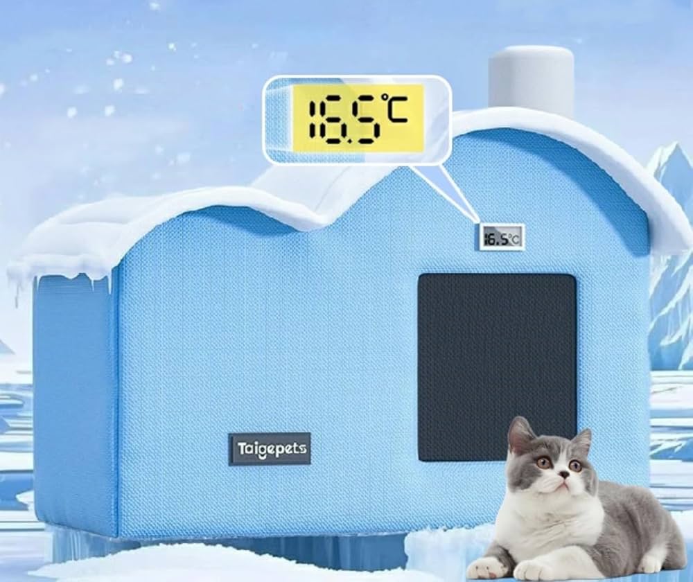 DEZERT 「変」「飼育部屋」 DEZERT 「変」「異常な階段」「飼育部屋」 Amazon.co.jp: 会場