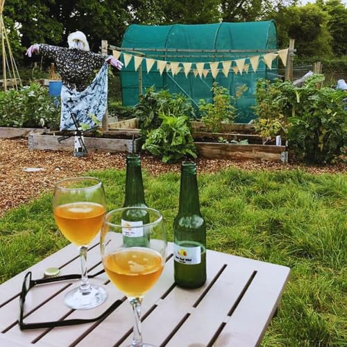 Kit de fabrication de cidre standard pour débutants avec levure et recette – vue 9